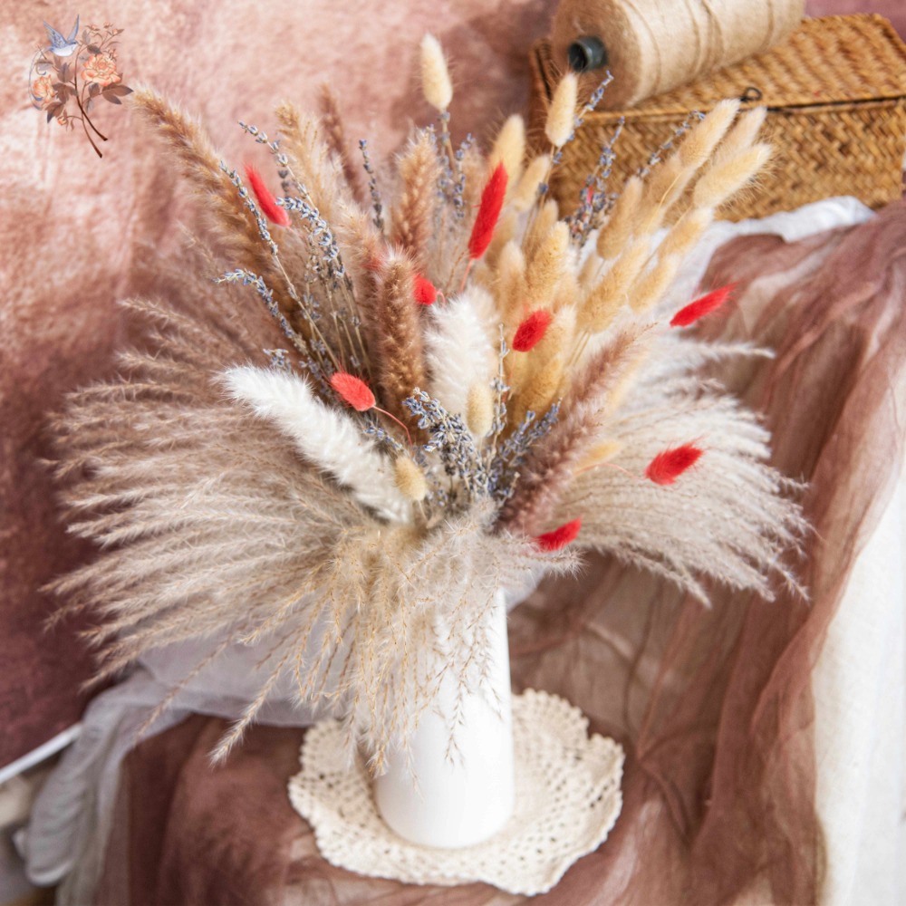 Natural Pampas Lavender Dried  - Pampas Grass Decor recension och pris