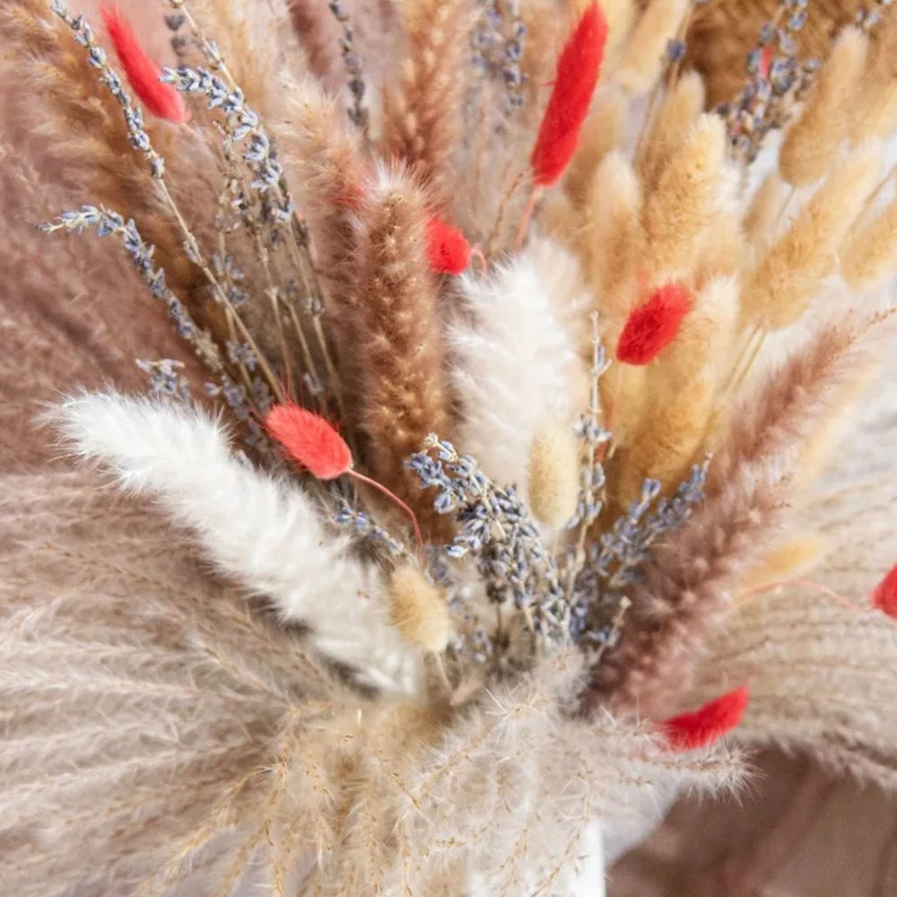 Natural Pampas Lavender Dried  - Pampas Grass Decor recension och pris